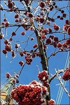 8 декабря 2007 г., Барнаул   Сказочная зима в Барнауле