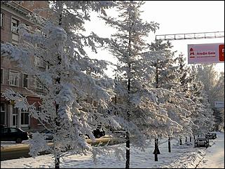8 декабря 2007 г., Барнаул   Сказочная зима в Барнауле