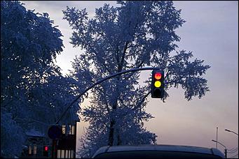 8 декабря 2007 г., Барнаул   Сказочная зима в Барнауле