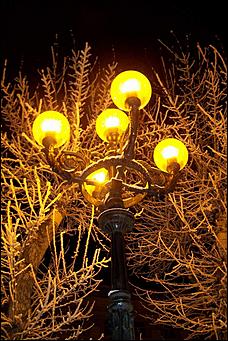 8 декабря 2007 г., Барнаул   Сказочная зима в Барнауле