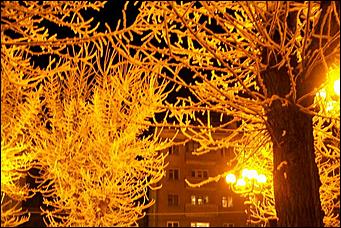 8 декабря 2007 г., Барнаул   Сказочная зима в Барнауле