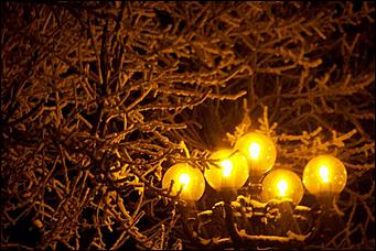 8 декабря 2007 г., Барнаул   Сказочная зима в Барнауле