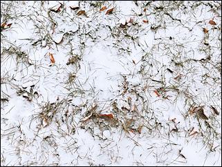 17 ноября 2021 г., Барнаул   Белое покрывало ноября. Зима пришла в Барнаул