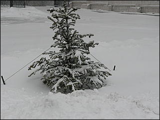 16 апреля 2008 г., Барнаул   Зима вернулась - 2