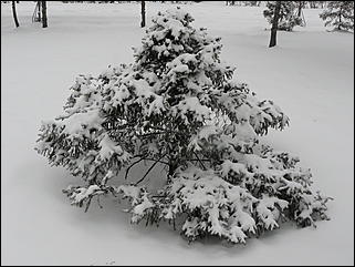 16 апреля 2008 г., Барнаул   Зима вернулась - 2