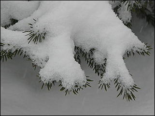 16 апреля 2008 г., Барнаул   Зима вернулась - 2