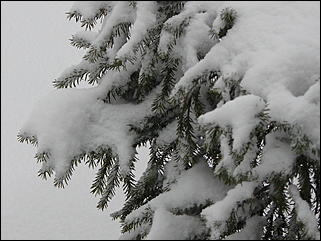 16 апреля 2008 г., Барнаул   Зима вернулась - 2