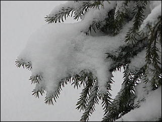 16 апреля 2008 г., Барнаул   Зима вернулась - 2