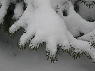 16 апреля 2008 г., Барнаул   Зима вернулась - 2