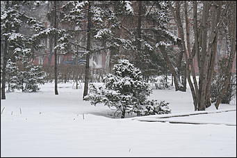 16 апреля 2008 г., Барнаул   Зима вернулась - 2