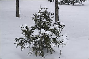 16 апреля 2008 г., Барнаул   Зима вернулась - 2