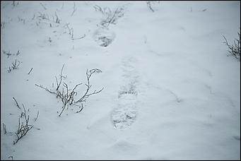 14 ноября 2017 г., Барнаул. Екатерина Смолихина   Привет, сугробы: Барнаул окончательно вступил в период "белой оккупации"