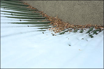 14 ноября 2017 г., Барнаул. Екатерина Смолихина   Привет, сугробы: Барнаул окончательно вступил в период "белой оккупации"