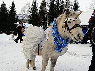 1 декабря 2019 г., Алтайский край   Вкусная еда, огненное шоу и лебеди: как прошла "Алтайская зимовка"-2019