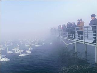 1 декабря 2019 г., Алтайский край   Вкусная еда, огненное шоу и лебеди: как прошла "Алтайская зимовка"-2019