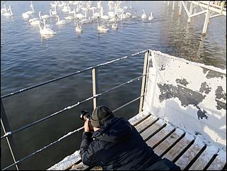 1 декабря 2019 г., Алтайский край   Вкусная еда, огненное шоу и лебеди: как прошла "Алтайская зимовка"-2019