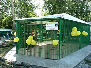 24 июля 2011 г., Барнаул   День рождения Барнаульского зоопарка