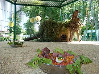 24 июля 2011 г., Барнаул   День рождения Барнаульского зоопарка