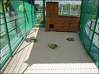 24 июля 2011 г., Барнаул   День рождения Барнаульского зоопарка