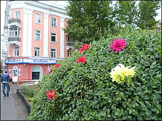 31 август 2013 г., Барнаул   Выставка цветов и Фестиваль национальных культур