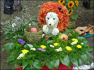 31 август 2013 г., Барнаул   Выставка цветов и Фестиваль национальных культур