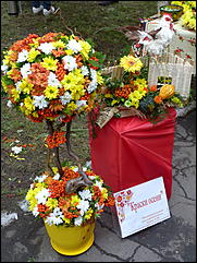 31 август 2013 г., Барнаул   Выставка цветов и Фестиваль национальных культур