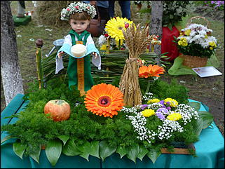 31 август 2013 г., Барнаул   Выставка цветов и Фестиваль национальных культур