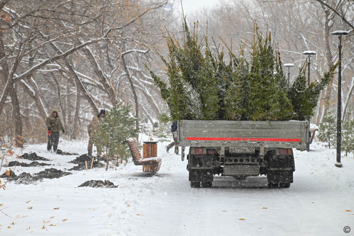Работы в бывшем парке имени Ленина / Фото: barnaul.org