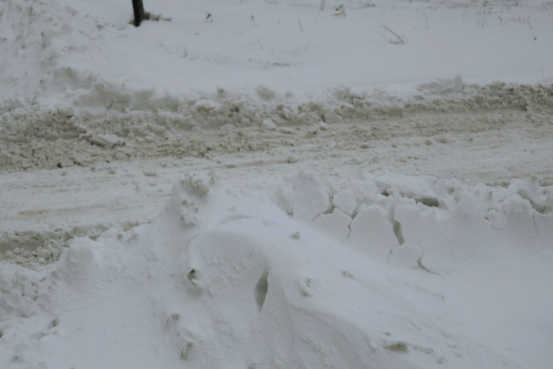 Заснеженная дорога / Фото:amic.ru