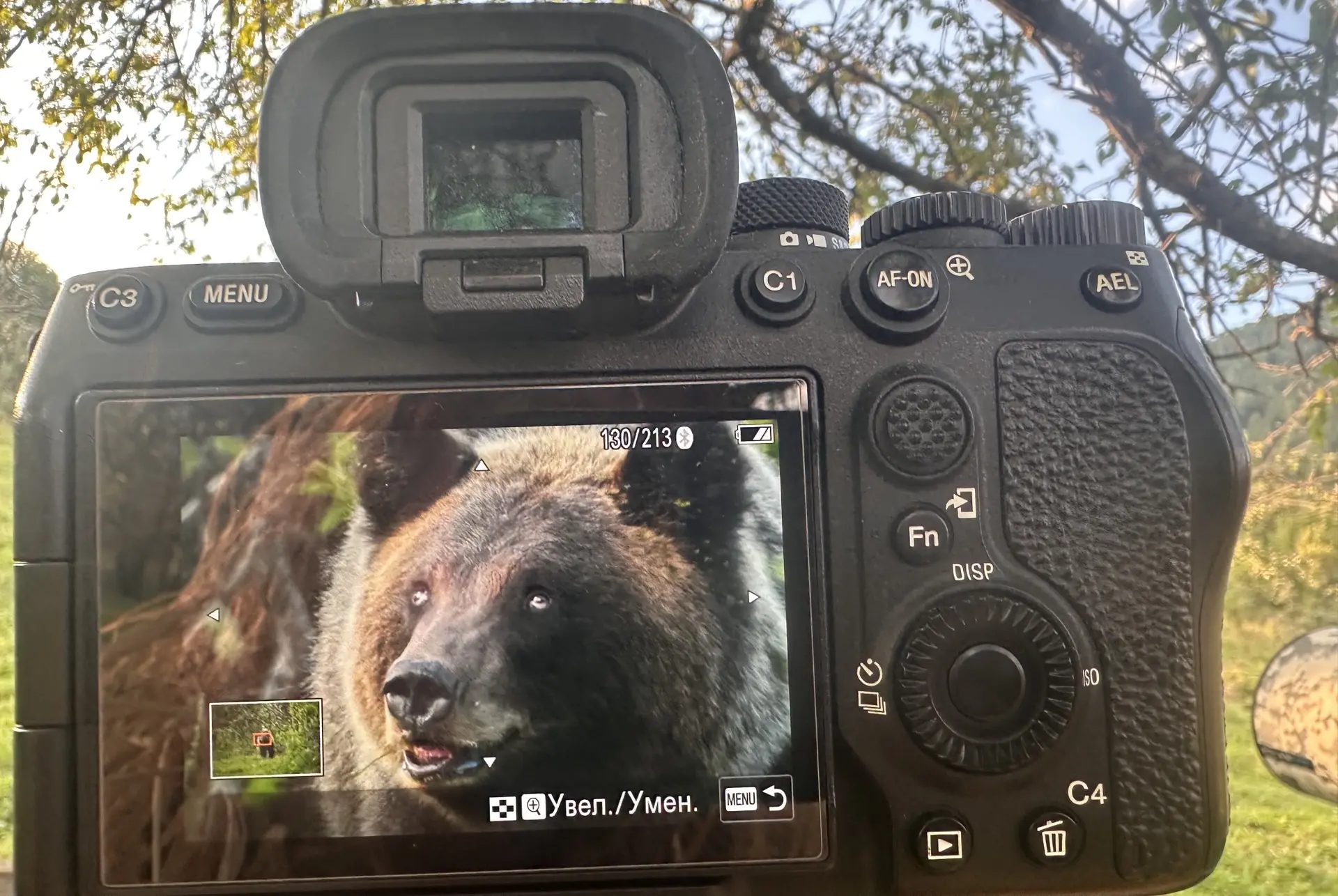 Фото Татьяны и Романа Воробьевых