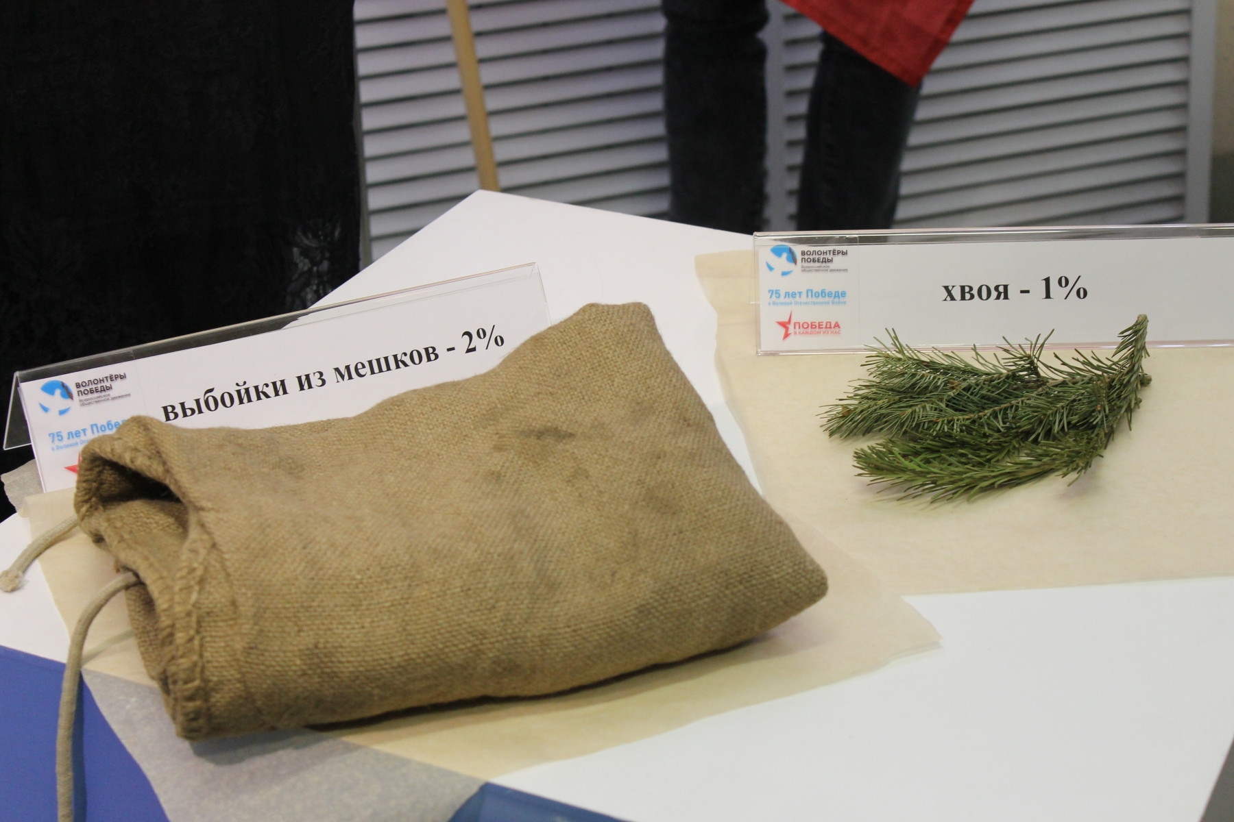 Напиток из хвои в блокадном ленинграде. Витаминный напиток из хвои в блокадном ленинграде. Напиток из хвои в блокадном. Хвойный настой блокадного ленинграда. Отвар из хвои.