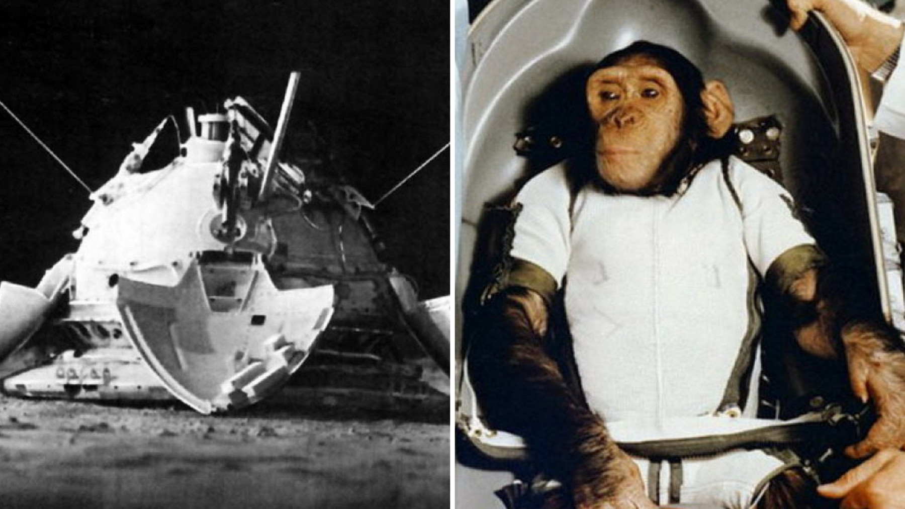 Первая обезьяна полетевшая в космос. Обезьяны в космосе 1959 Эйбл и Бейкер. Шимпанзе Хэм космонавт.