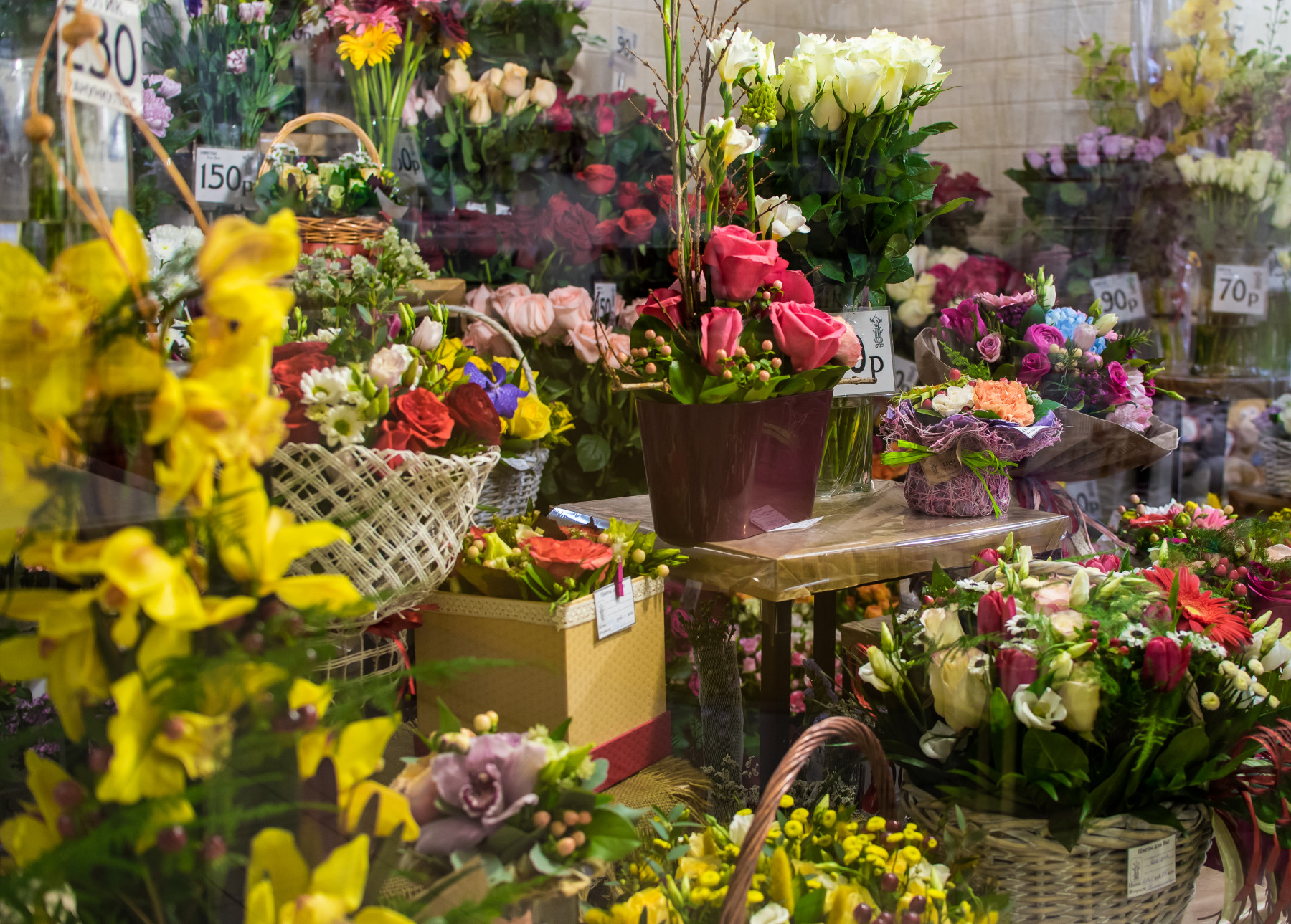 Городское озеленение с тюльпанами. Барнаул октябрьская площадь. Фонтан на площади октября барнаул. Клумбы барнаула барнаула. Лазурная 29 барнаул.