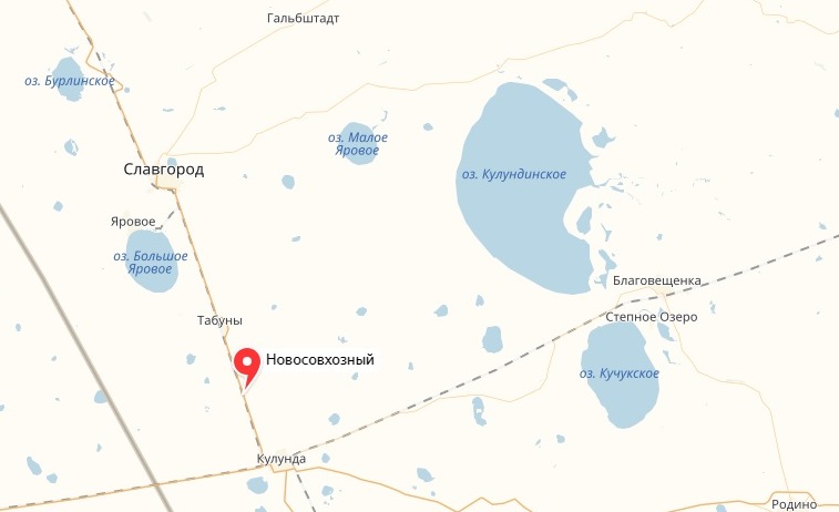 Карта яровое алтайский. Кулундинское озеро на карте. Кулундинское озеро Алтайский карта. Оз Кулундинское на карте. Кулундинское озеро на карте России.