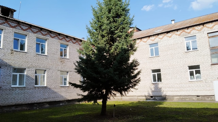 каталог алтай алтайские зори. п новые зори павловский район алтайский край. новые зори барнаул на карте. заря кондитерская бийск. барнаул новые зори замок.