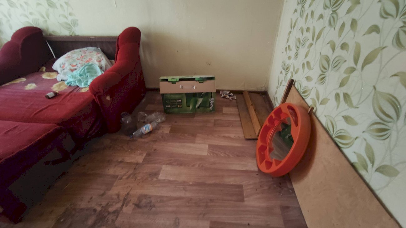 Квартира на улице Эмилии Алексеевой, 11/ Екатерина Смолихина