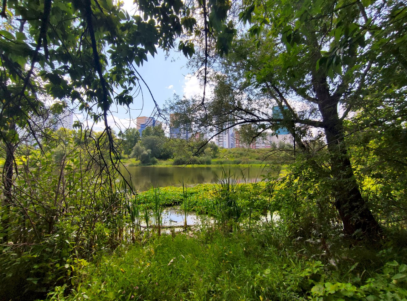 Озеро на ул. Гущина (со стороны ул. Малахова)/ Екатерина Смолихина