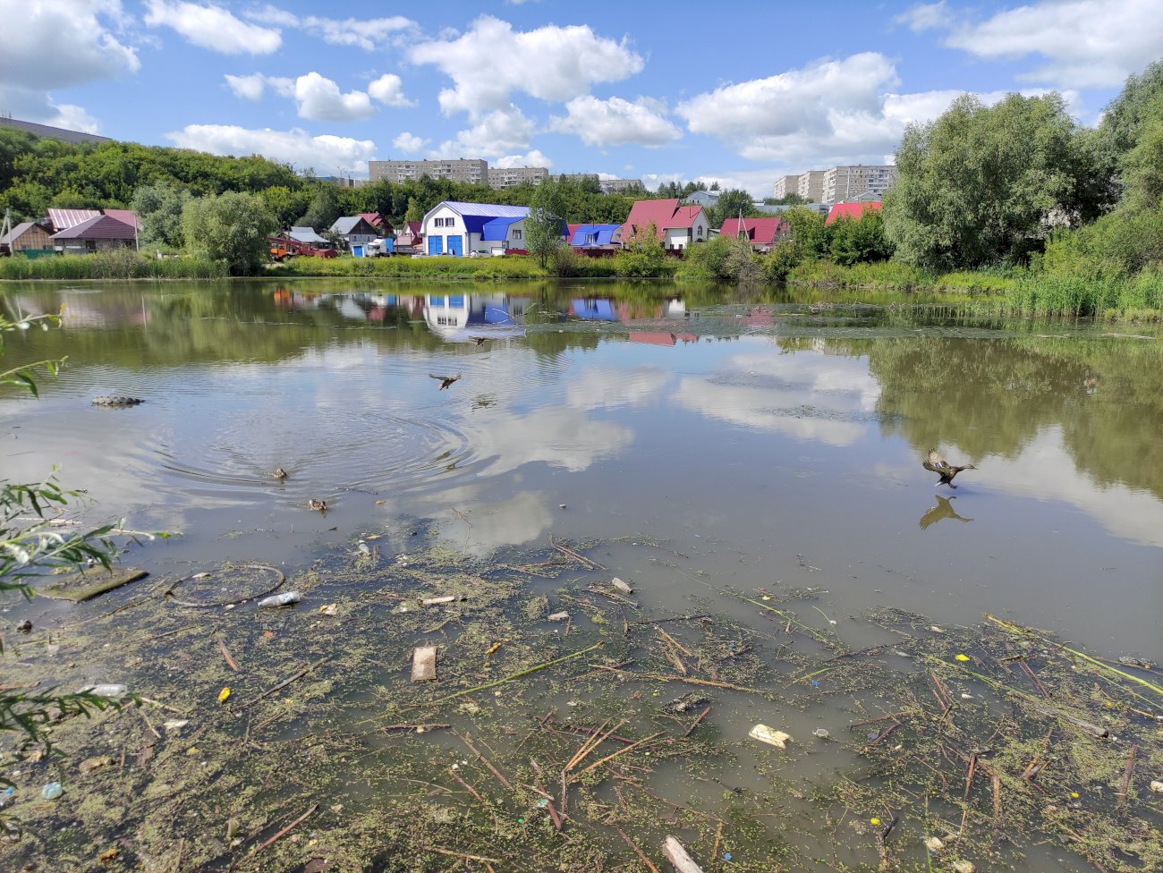 Озеро на ул. Гущина (со стороны ул. Попова)/ Екатерина Смолихина