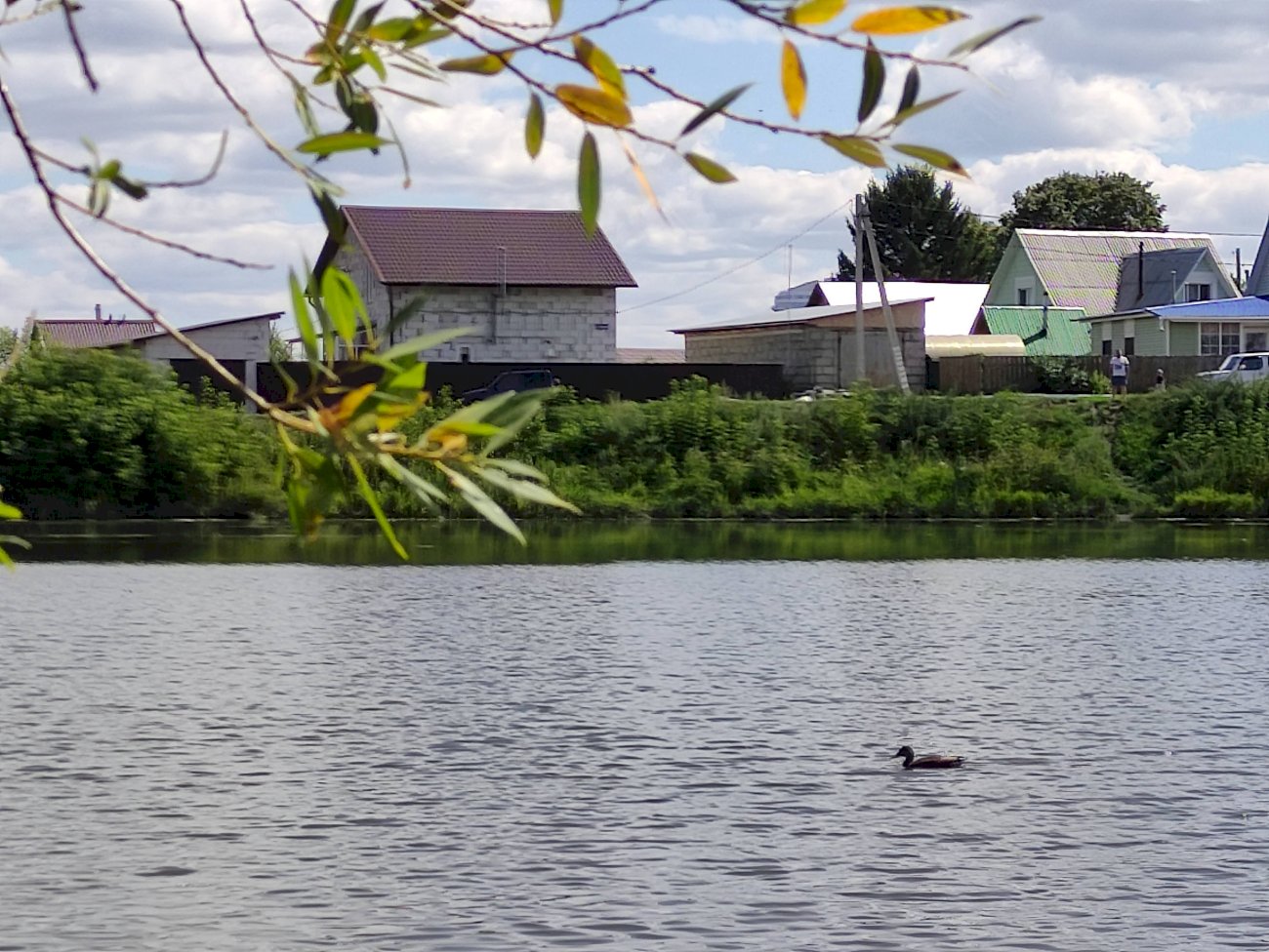 Озеро на ул. Гущина (со стороны ул. Попова)/ Екатерина Смолихина