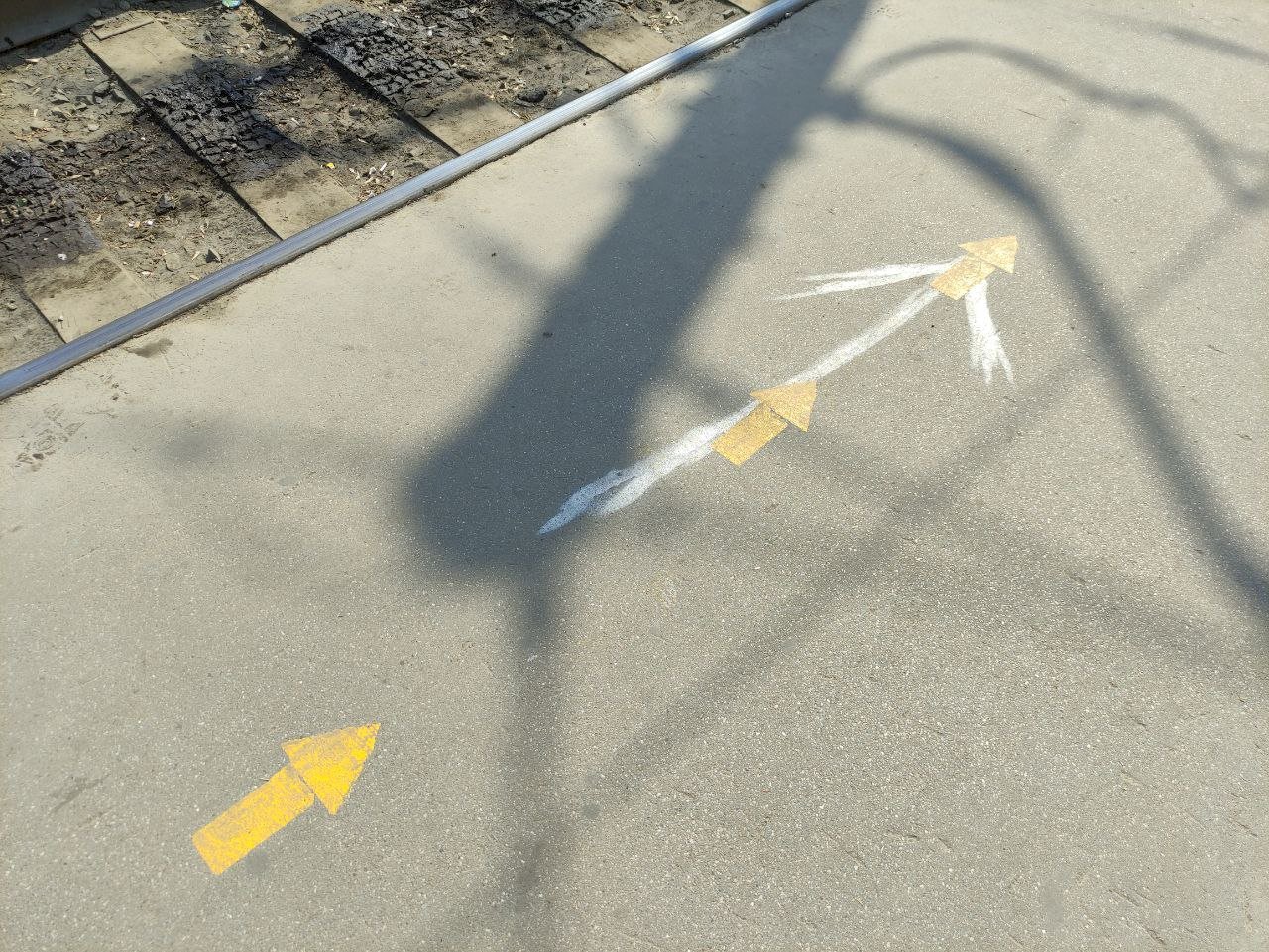 Фото: Екатерина Смолихина / amic.ru