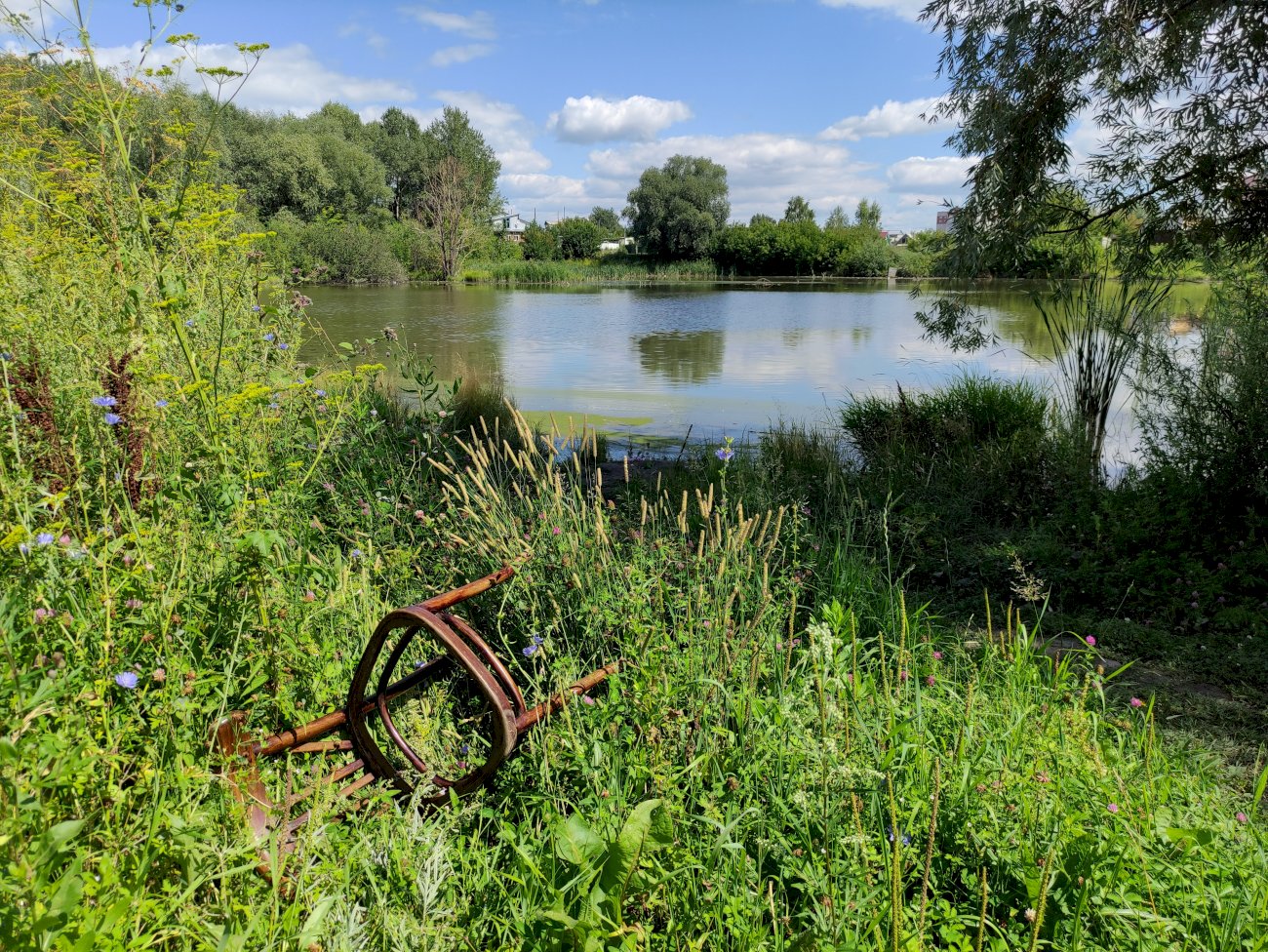 Озеро на ул. Гущина (со стороны ул. Попова)/ Екатерина Смолихина