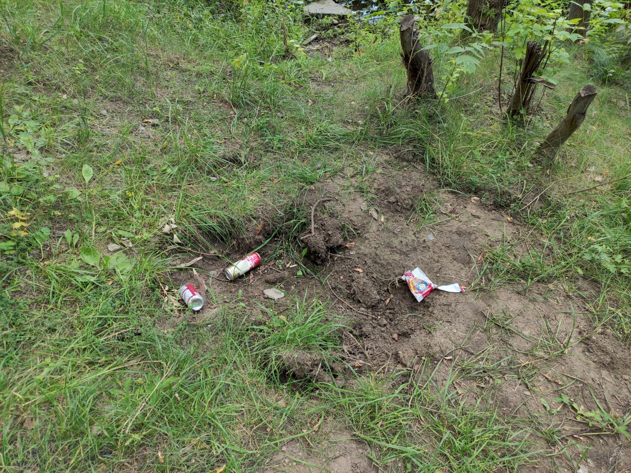 Озеро на ул. Гущина (со стороны ул. Малахова)/ Екатерина Смолихина