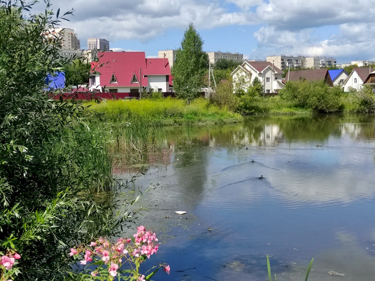 Озеро на ул. Гущина (со стороны ул. Попова)/ Екатерина Смолихина