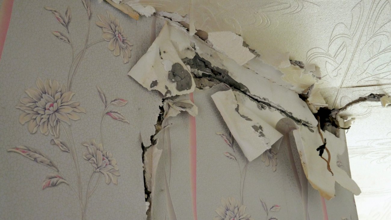 Квартира на улице Эмилии Алексеевой, 11/ Екатерина Смолихина