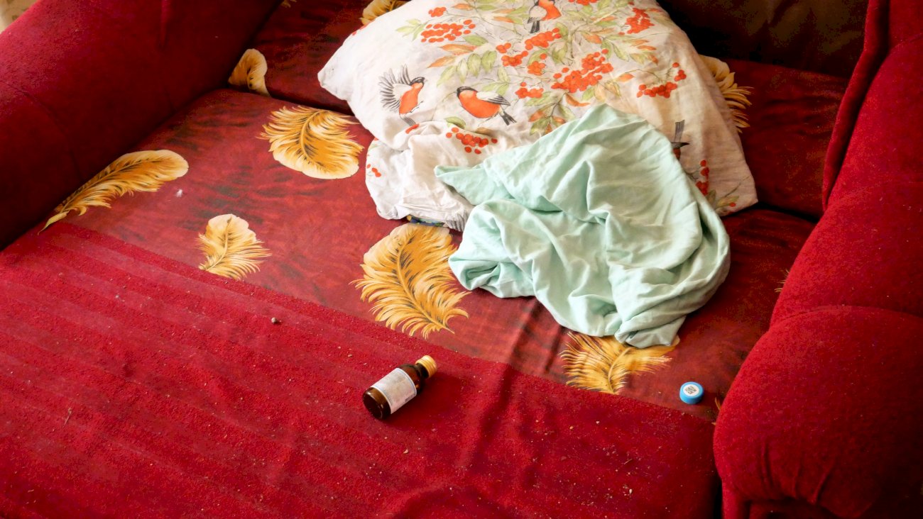 Квартира на улице Эмилии Алексеевой, 11/ Екатерина Смолихина