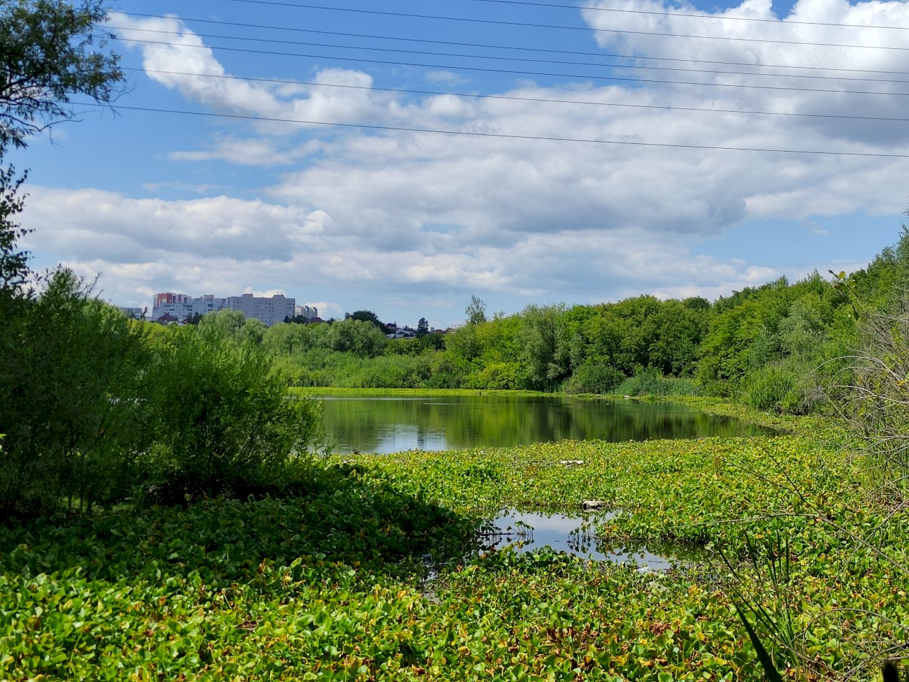 Озеро на ул. Гущина (со стороны ул. Малахова)/ Екатерина Смолихина
