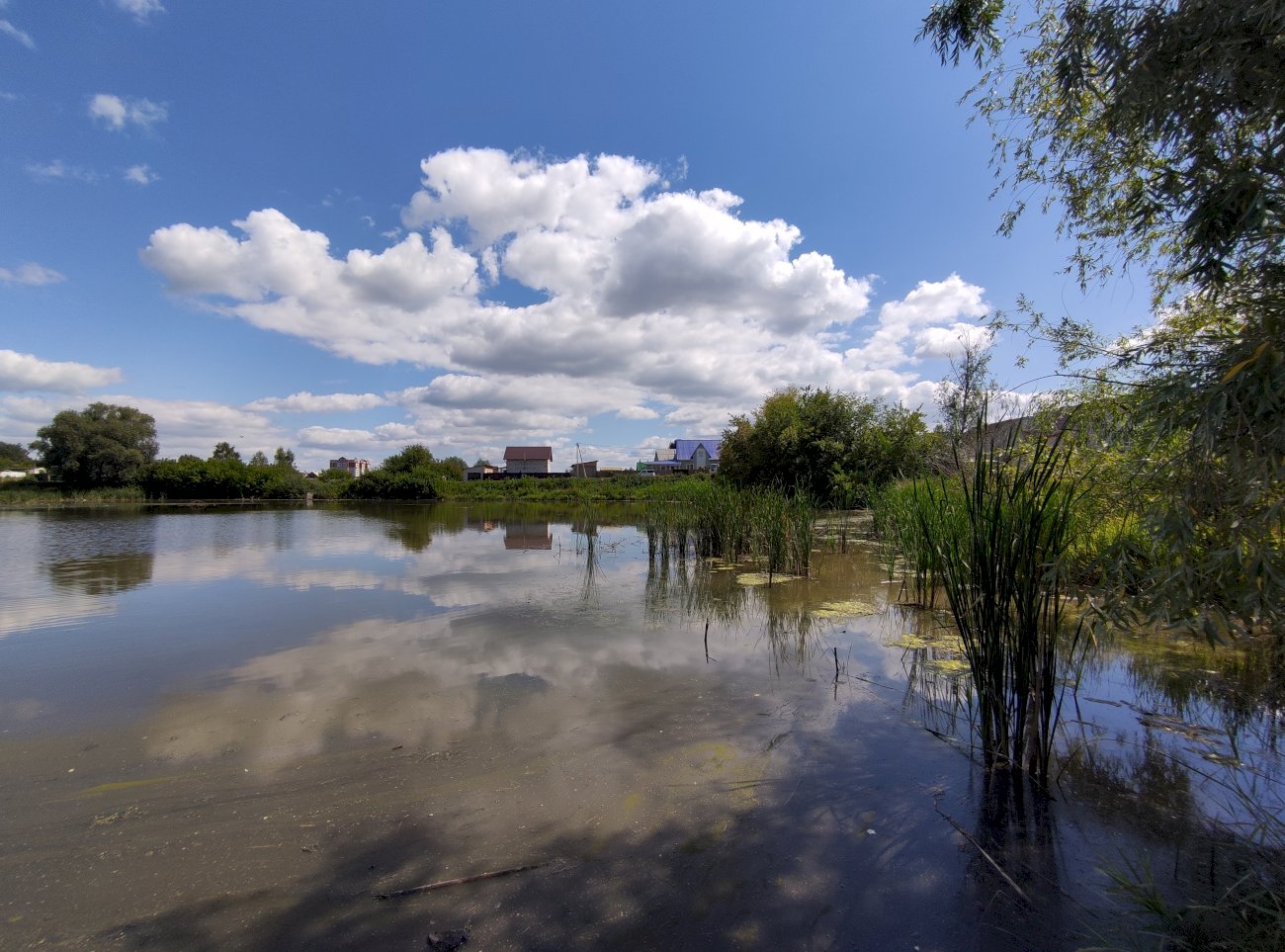 Озеро на ул. Гущина (со стороны ул. Попова)/ Екатерина Смолихина