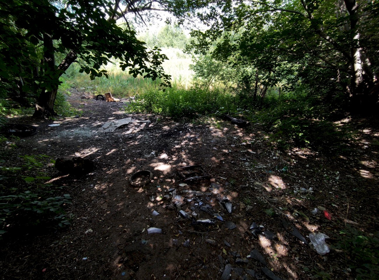 Высохшее озеро в садоводстве трансмаш/ Екатерина Смолихина