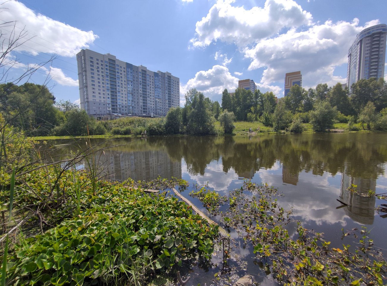 Озеро на ул. Гущина (со стороны ул. Малахова)/ Екатерина Смолихина