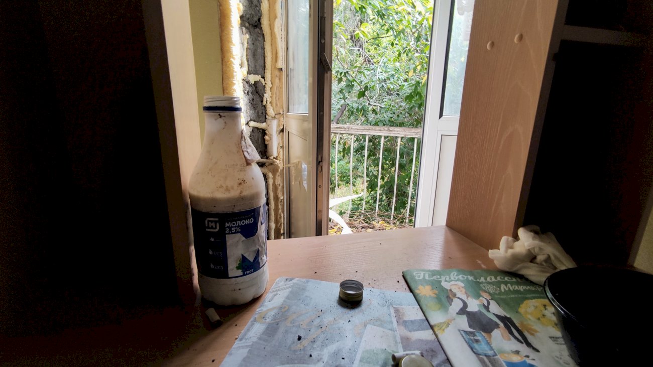 Квартира на улице Эмилии Алексеевой, 11/ Екатерина Смолихина